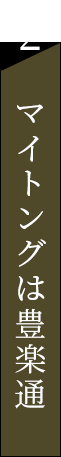 2.マイトングは豊楽通