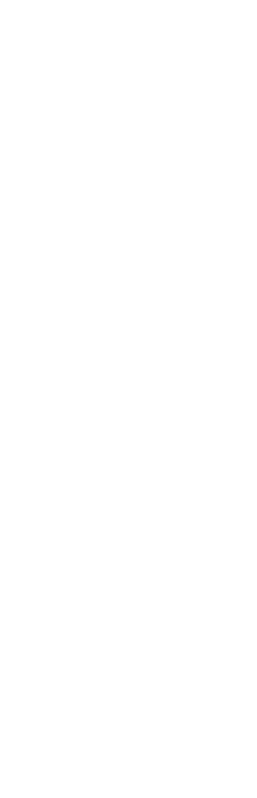 漫画を超えた漫画盛りご飯